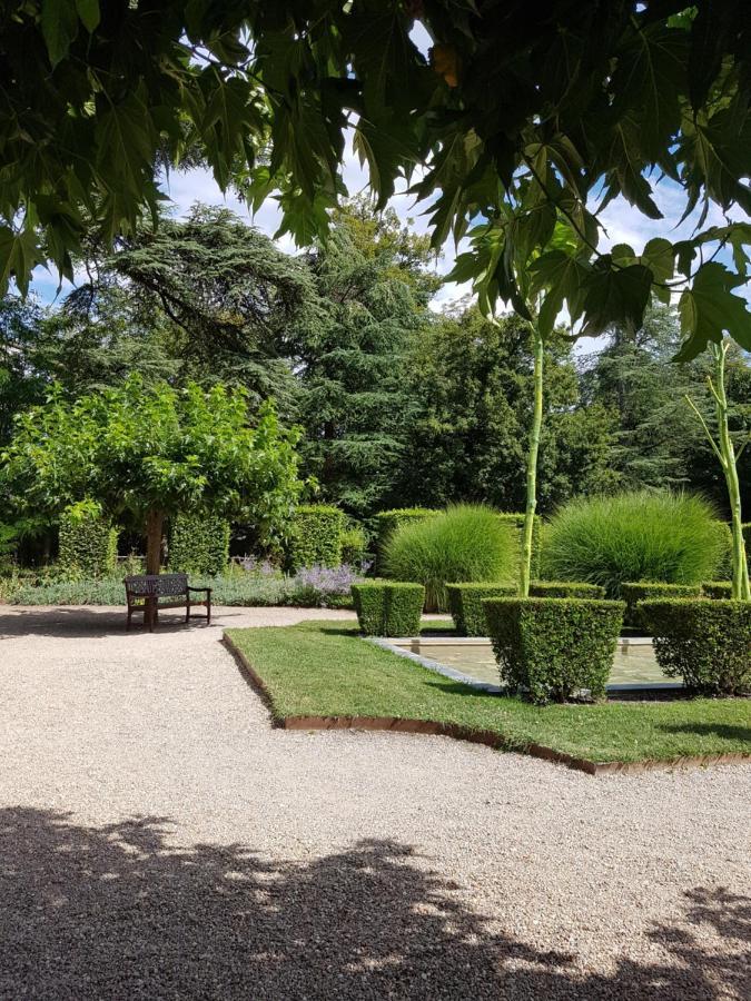Le Clos De La Deesse La Ferté-Saint-Cyr Exterior foto
